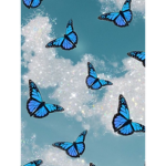 A chance with butterflies