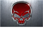 A.R.F Authorized Recon Force