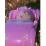 *~•BHADBITTIEZ•~*
