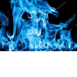 fenix fire