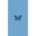 Teal Store’s