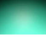 Ss12345678