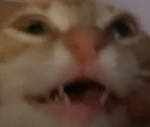 urtalklessz