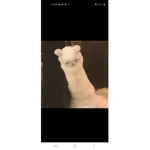 Llamass123