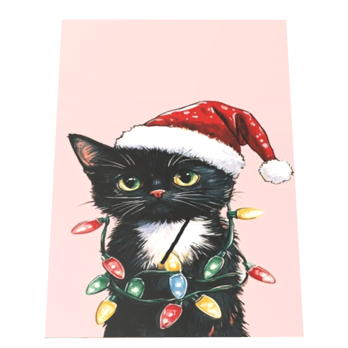 Christmas Cat Kitten Cape