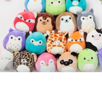 The Squishmallow Squad