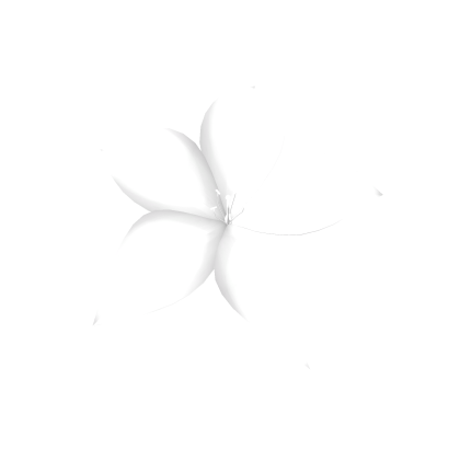 [EMMISIVE] white lily flower (lunar tear)