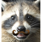 RACOONS