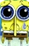 Sad spongey