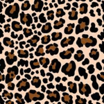 Mina's Cheetahs