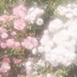 ✧