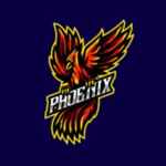Phoenix_plays Fan group