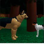 Wild Dog Roleplay