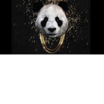 Panda Squad 4 life