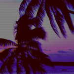 Aesthetic Vibes ツ