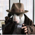 #pet agents