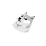 Snowfall Doge