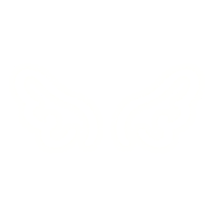 Glowing White Angel Wings