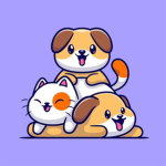 Viqc's Community