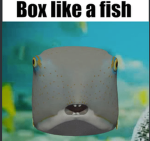 Fishy's Shack