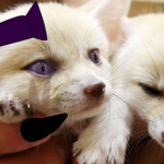 Kitty channel galaxyyy