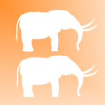The Mammoths