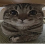 eyes closed