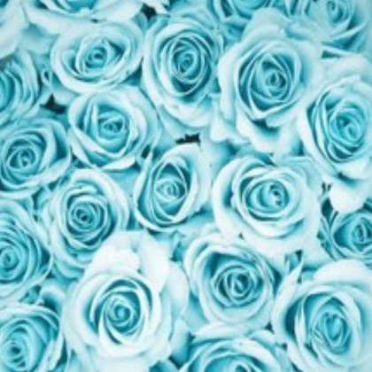 Pastel Blue Flowers Roblox decal