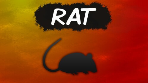 Rat The Killer ( Spider Cheese Horror Piggy)