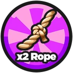 x2 Rope