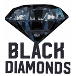 Dead Winter Team: Black Diamonds