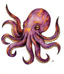 Main octopus