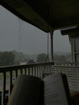 rainy-dayz