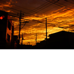 s o r r o w s