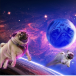 Pug gaming studio