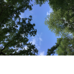 The sky’s!