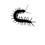 Worm [Surge]