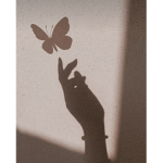 Butterfly group!!!!!!