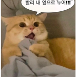 소통방(아마도)