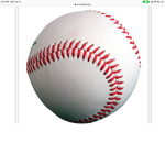 Sports dude’s