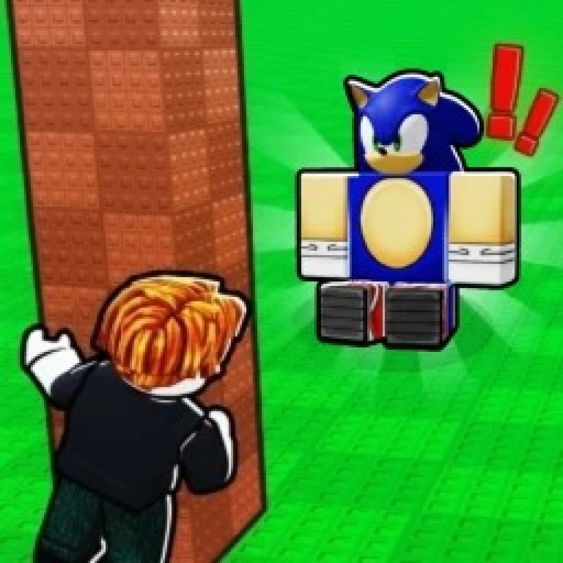 Don't Wake The Sonic!
