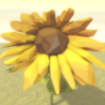 DayTime Paradise