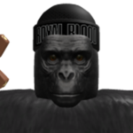 Monkey and gorilla fans group <3