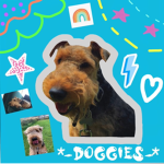 *-doGGies-*