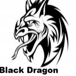 Black Dragon Operations
