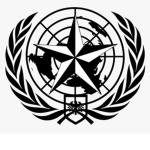 National Defense Axis Forces