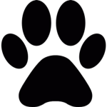 Pact of the Paw Mafia