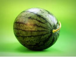 WatterMellon
