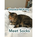 Poofy Kitty’s