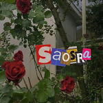 saosra